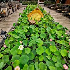 喜瑞餐厅(龙湖店) User Photo
