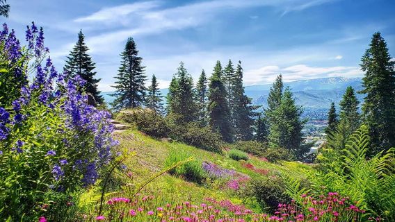 Ohme Gardens