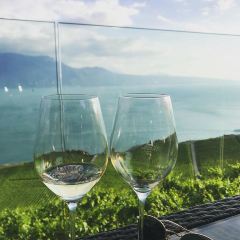 Le Baron Tavernier Hotel Restaurants & Spa User Photo