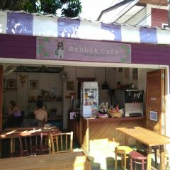 Rabbit Cafe User Photo