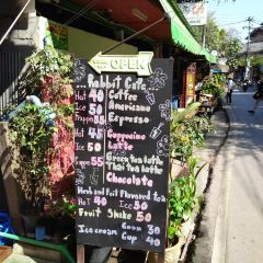 Rabbit Cafe User Photo