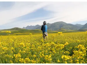 卓爾山風景区