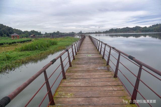 Qingyihu Tourism Scenic Area