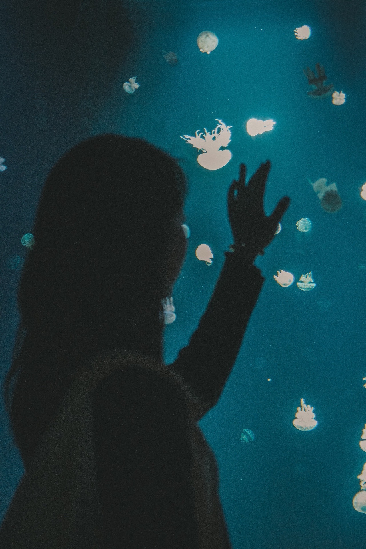 Canada|Underwater World in the City

 There is an aquarium in Stanley Park in Vancouver that is highly recommended. It is a huge educational classroom, and all kinds of advice about protecting marine animals can be learned. And you can also see sea, land and air friends from different parts of the world 

Underwater World
Underwater World has always been my favorite part, the aquarium is divided according to different destinations. Tropical fish, deep-sea fish, etc., all will restore the color of the fish tank according to different growth environments. In one of the fish tanks, the whole aquarium "the most famous" thief octopus is also seen. It is said that it used to sneak out at night to make other small The fish was eaten and finally found to strengthen management. 

Little animals
outdoors have invincible cute sea lions, sea otters, dolphins and seals, etc. It is so much love to see them at close range. It is. There is also a small area in the aquarium that restores the rainforest. I can see the little monkeys and the pigeon parrots. I am screaming at you and I am so scared. I am interested. 
845 Avison Way