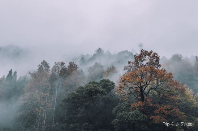 官浦垟村