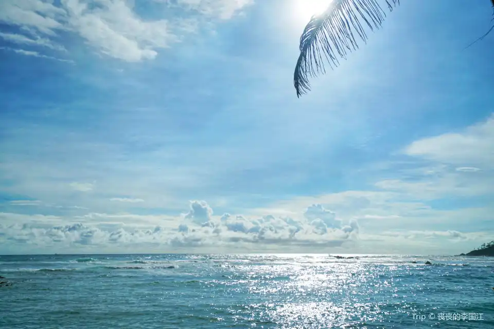 Coconut Tree Hill - Mirissa Tickets [2026] - Promos, Prices, Reviews ...