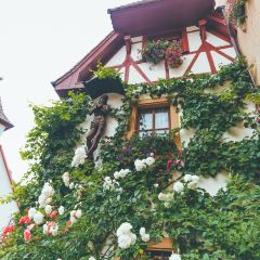 Burg Hostel User Photo