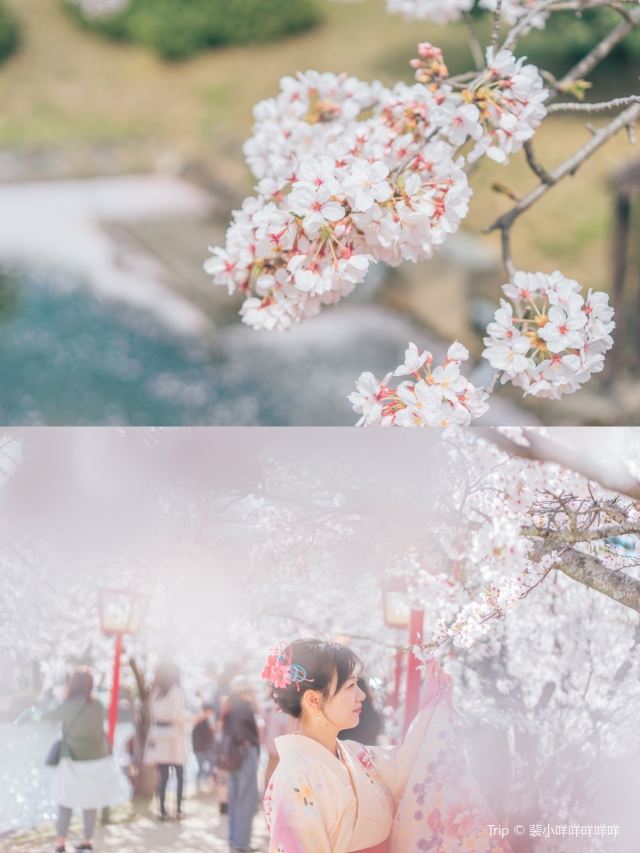 小城公園