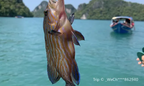 Sea Angling in Langkawi