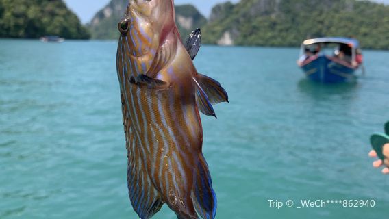 Sea-fishing in Langkawi