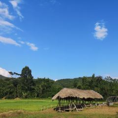 Brandnew Field Good User Photo