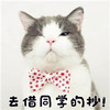 https://ak-d.tripcdn.com/images/1A0b0z000000ntddg3753.jpg