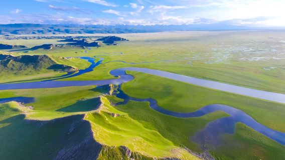 Nine Curves and Eighteen Rurns