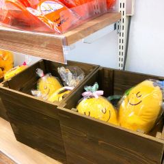 Calbee+ Shinchitosekuko 여행 사진