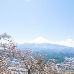 Restaurant Lakeside User Photo