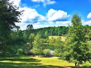 Saunders-Monticello Trail