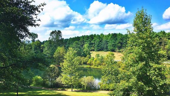 Saunders-Monticello Trail