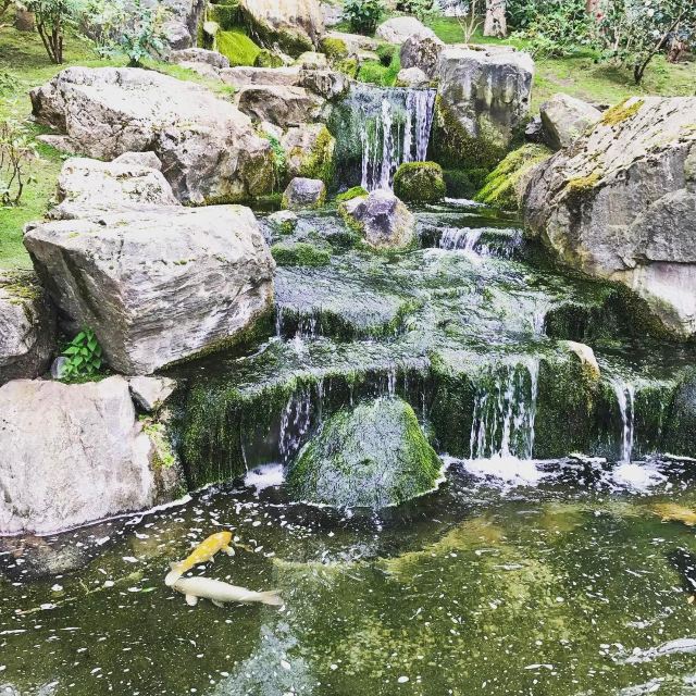 Kyoto Garden