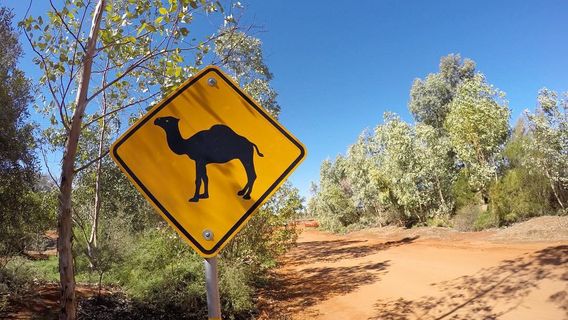 Yulara