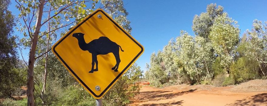 Ayers Rock Resort