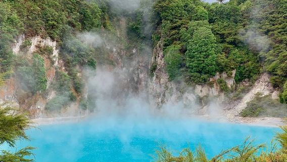 Waimangu Volcanic Valley
