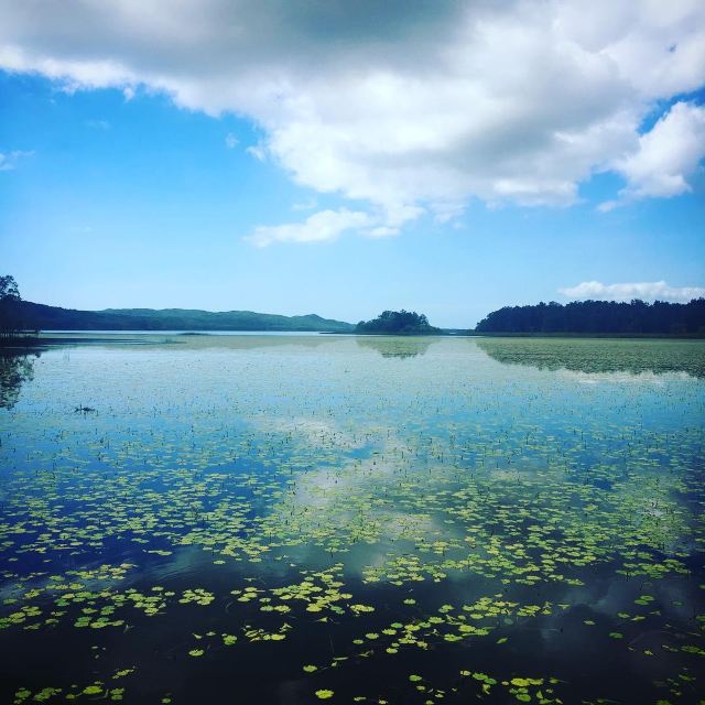 Everglades