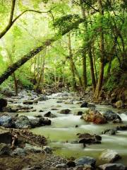 Stevens Creek County Park