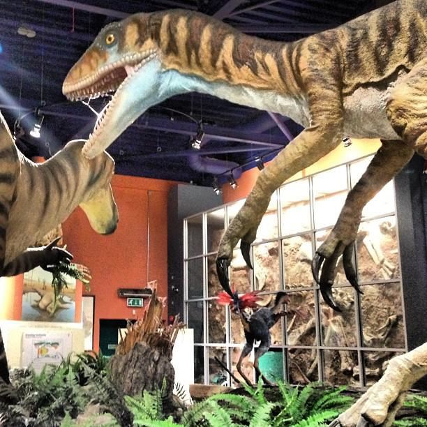Dinosaur Isle