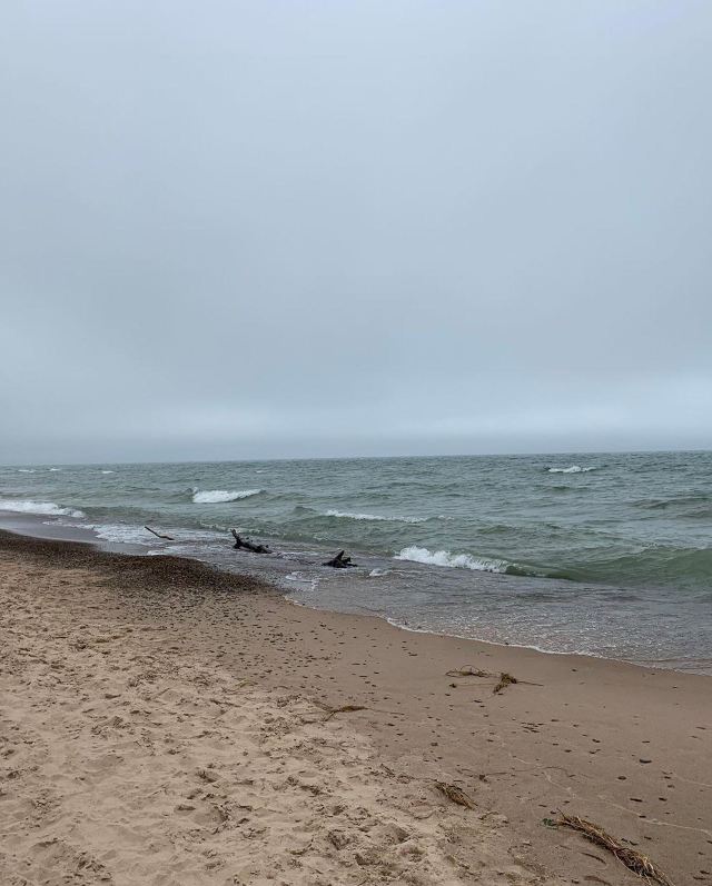Indiana Dunes State Park