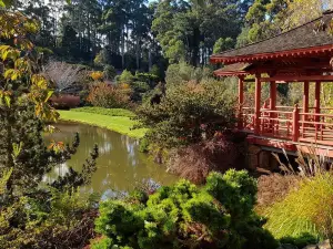 Emu Valley Rhododendron Garden