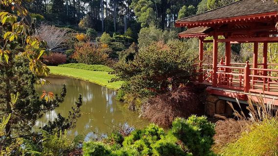 Emu Valley Rhododendron Garden