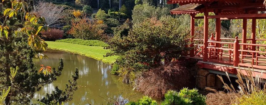 Emu Valley Rhododendron Garden