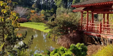 Emu Valley Rhododendron Garden