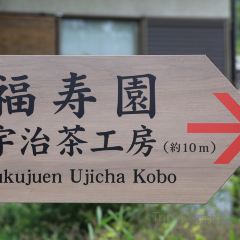 Fushouyuanyuzhichagongfangtiyan ảnh của người dùng