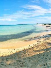 Playa Norte