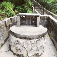 食堂花笠張用戶圖片