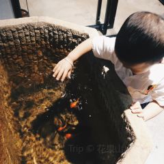 一同樓張用戶圖片