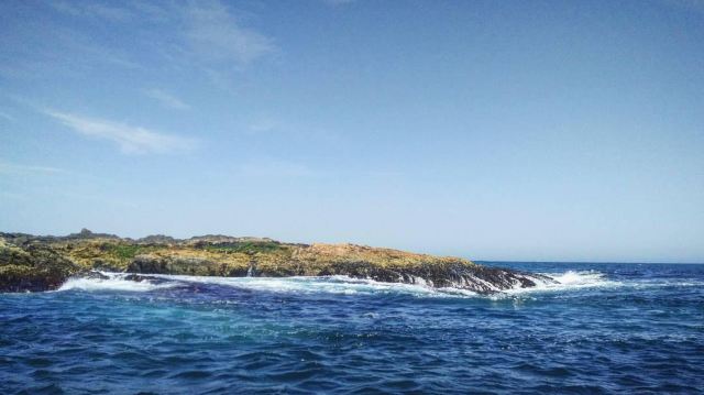 South Solitary Island