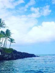 Honokohau Marina & Small Boat Harbor