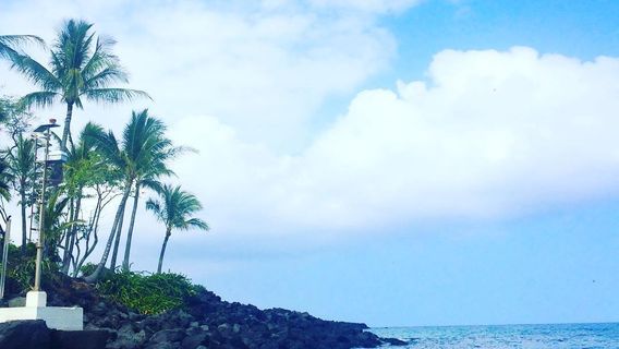Honokohau Marina & Small Boat Harbor