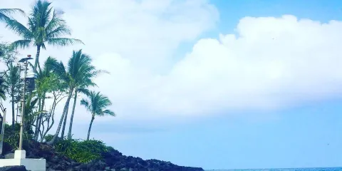 霍諾可豪小艇船塢