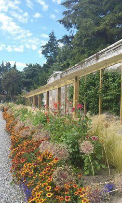 Festina Lente Equestrian Centre & Walled Gardens
