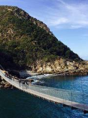 Ponte sospeso sullo Storms River