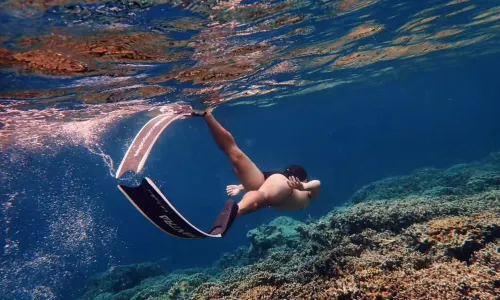 Diving in Coron
