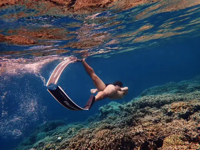 Diving in Coron
