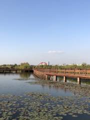 Hongrun Wetland Park