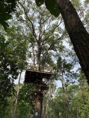 Jungle Flight Zipline Office