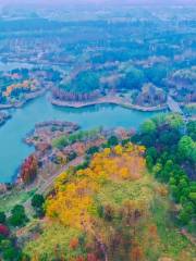 Водно-болотный парк Гуанхуань
