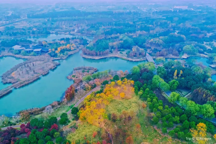 Gonghuwan Wetland Park