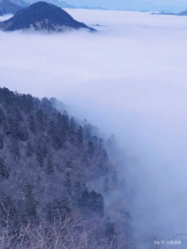 Sea of Clouds in Dayi